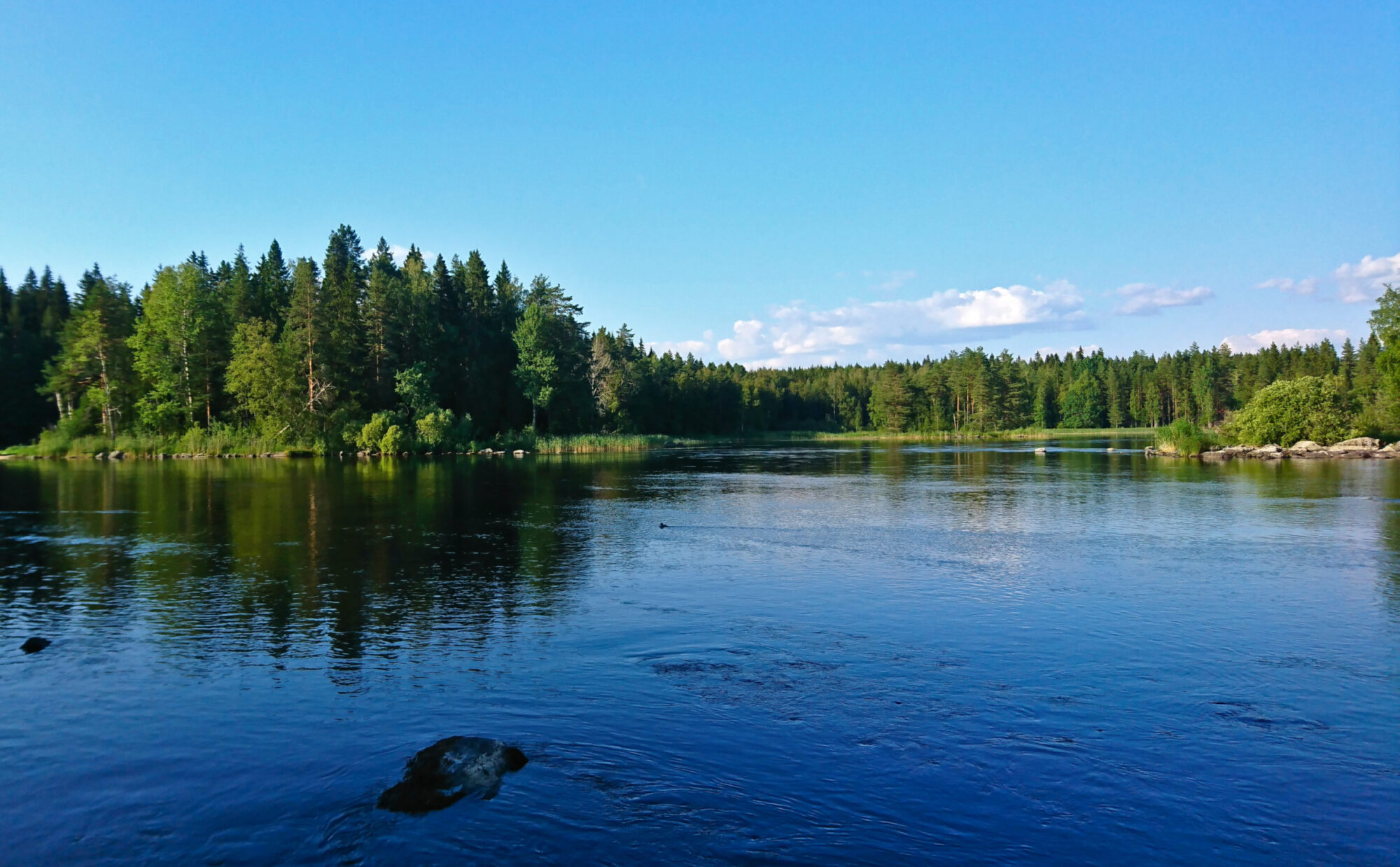 Kallaveden vesiä kokoava Konnuskoski ja Konnuksen kanava sijaitsevat Leppävirran pohjoispuolella.