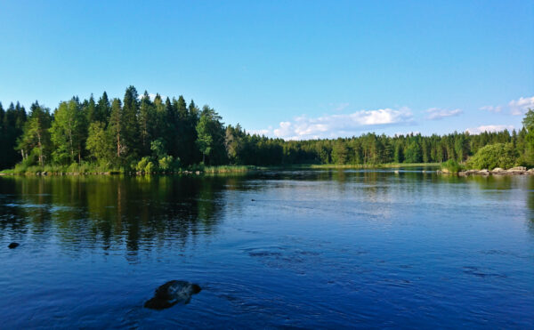 Kallaveden vesiä kokoava Konnuskoski ja Konnuksen kanava sijaitsevat Leppävirran pohjoispuolella.