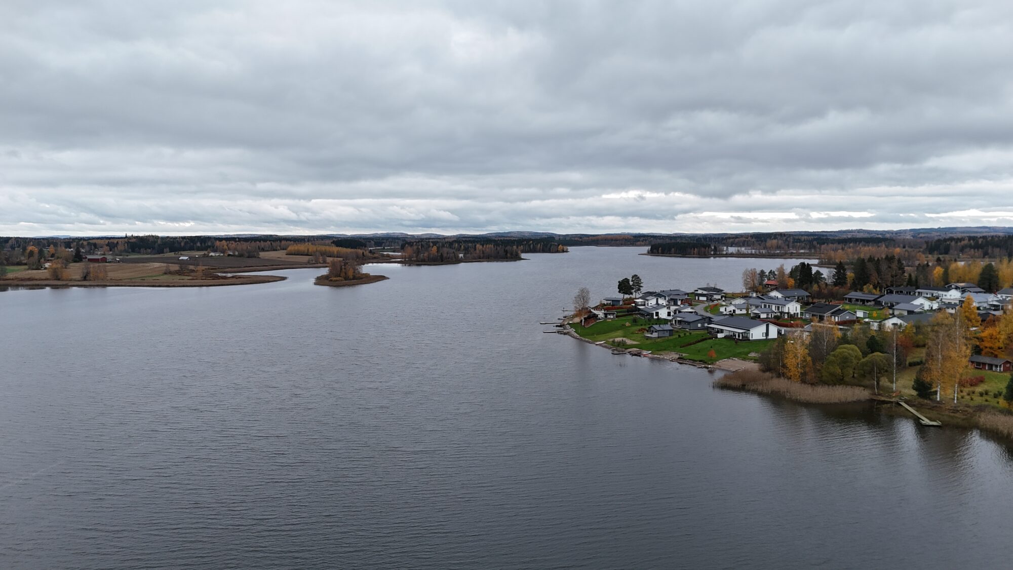 Kevätön. Kuva: Minna Wikström, SKVSY.